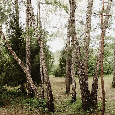 Berzu Namelis - Birch Cabin Kuciunai Экстерьер фото